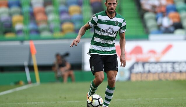 Piccini